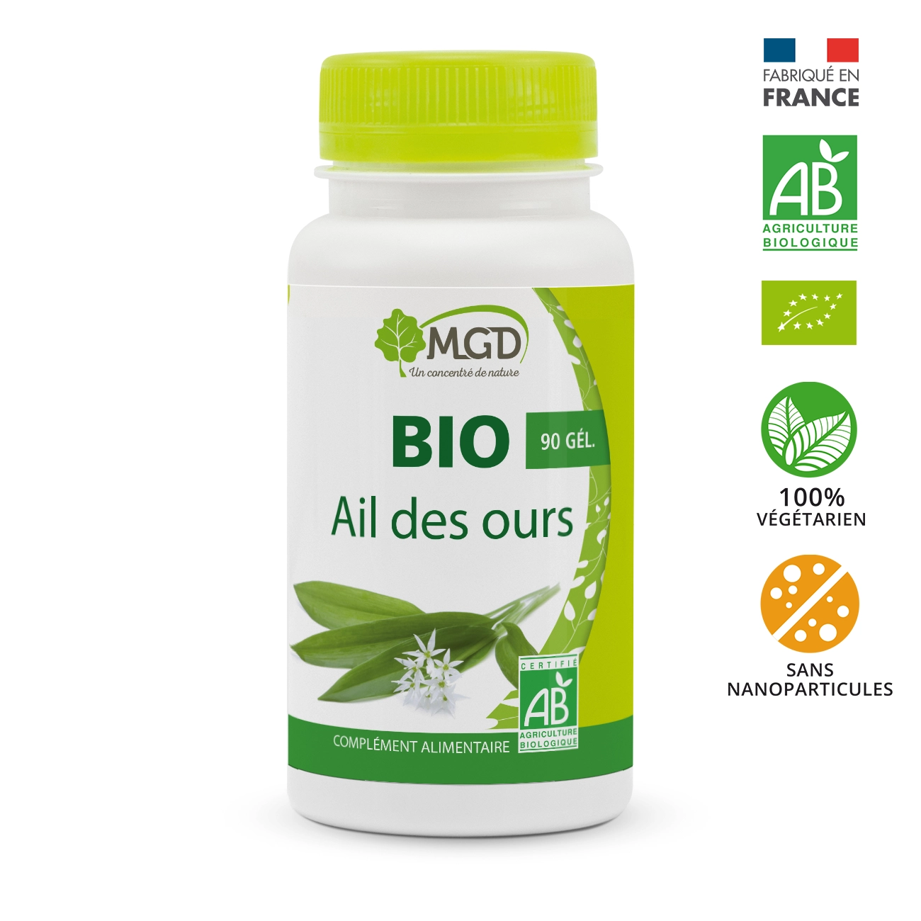 Ail des ours BIO