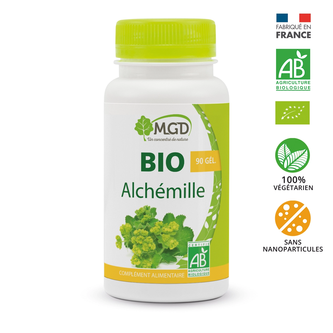 Alchémille BIO