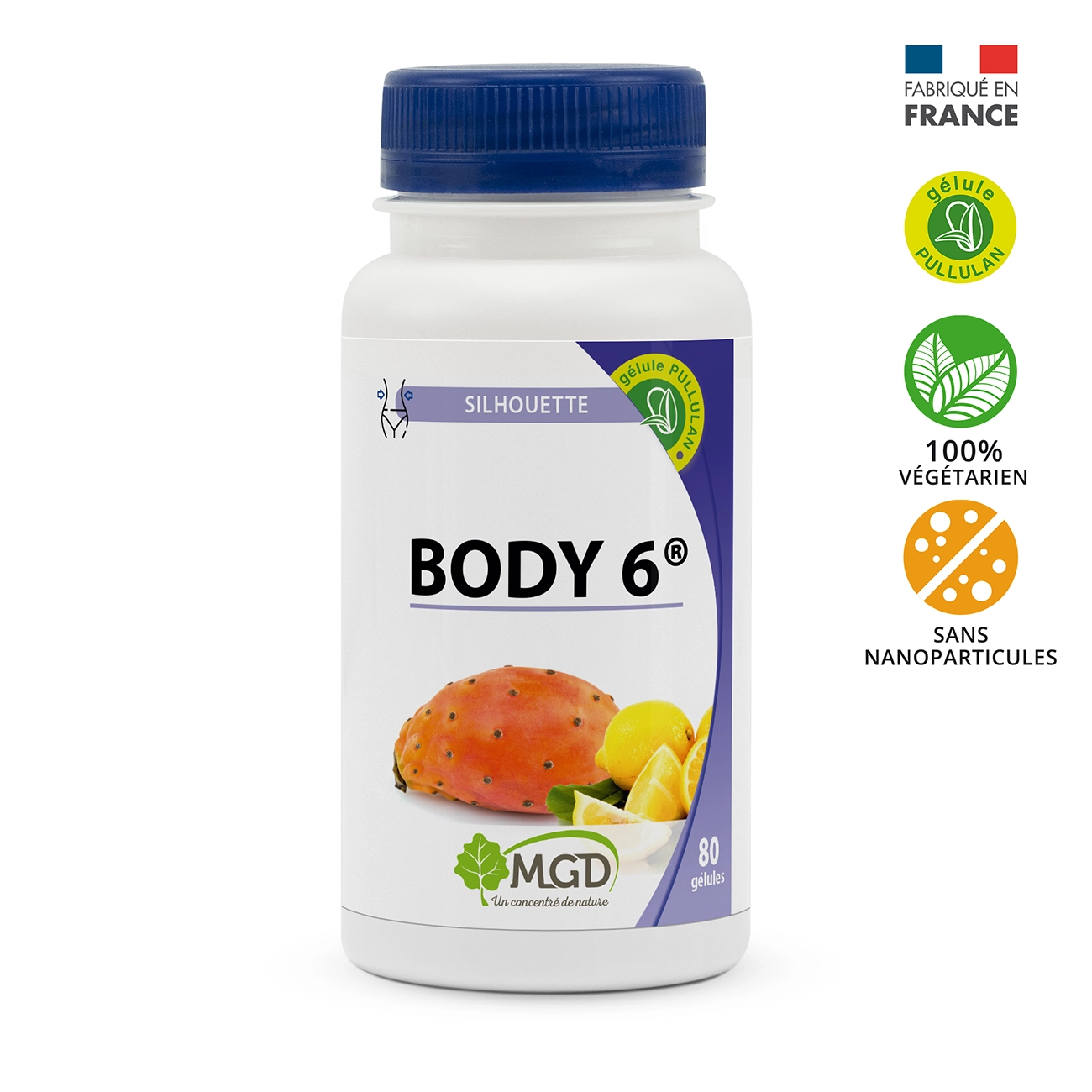 Body 6®