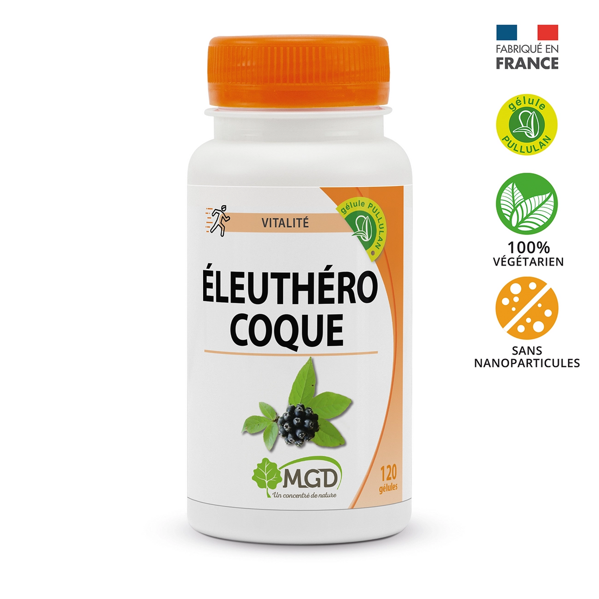 Éleuthérocoque