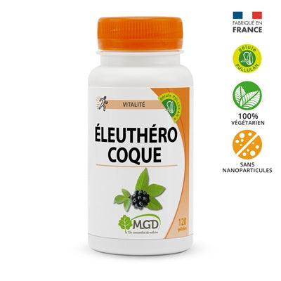 Éleuthérocoque