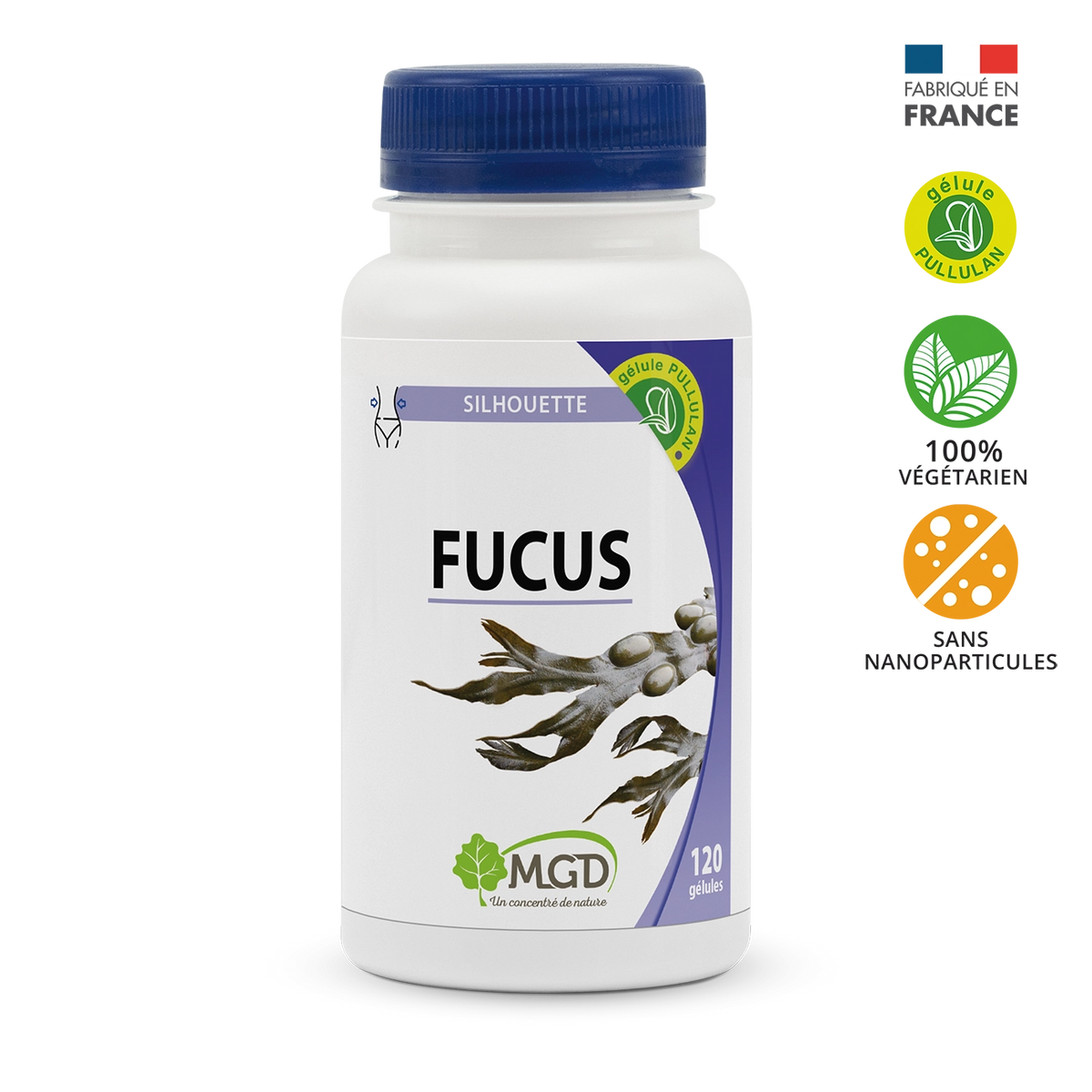 Fucus