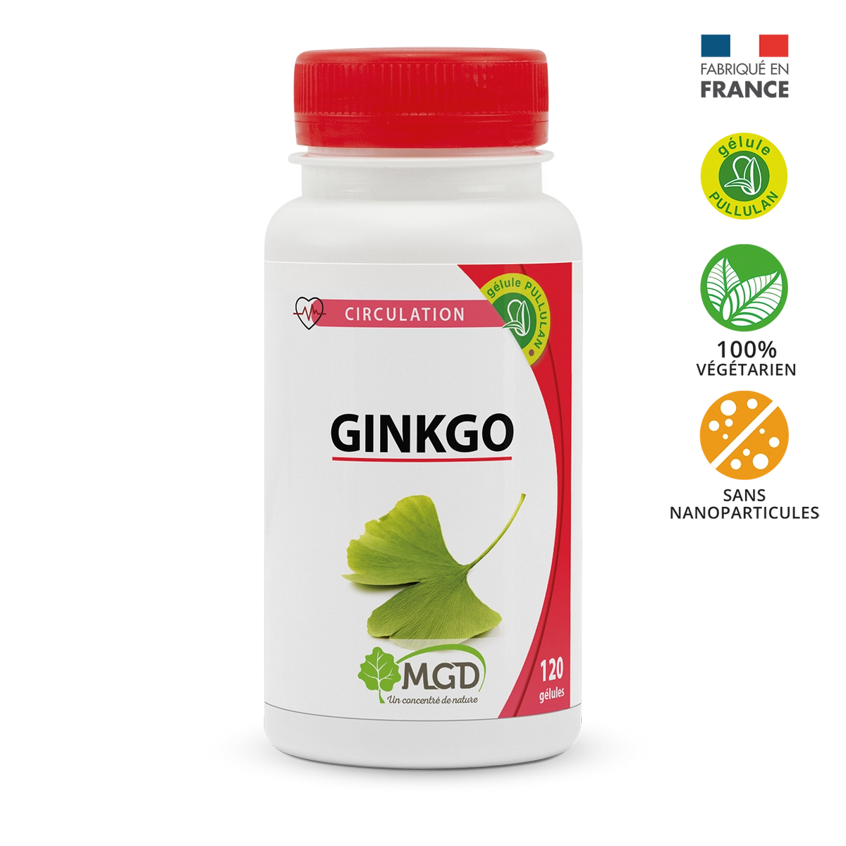 Ginkgo