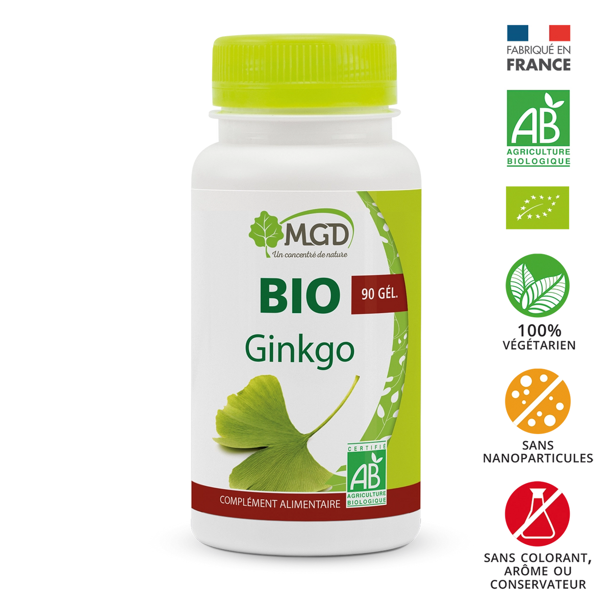 Ginkgo BIO