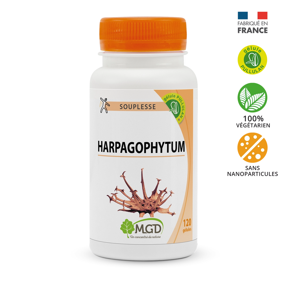 Harpagophytum