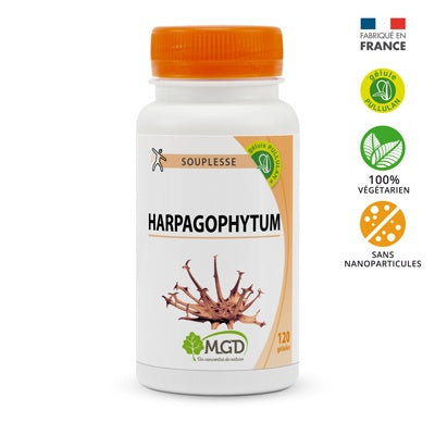 Harpagophytum