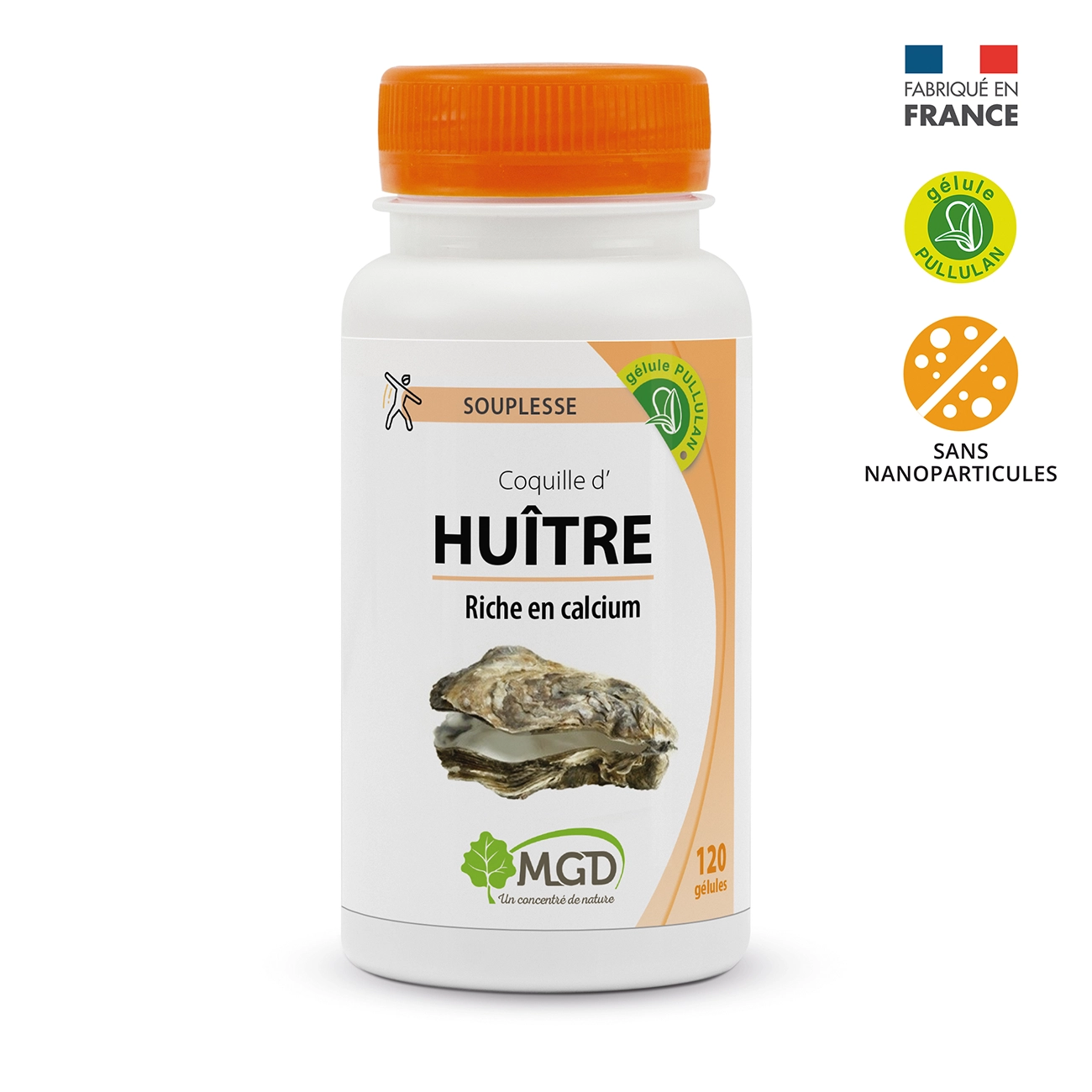 Coquille d'huître