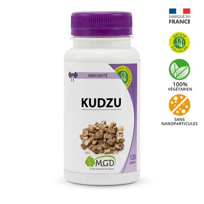 Kudzu
