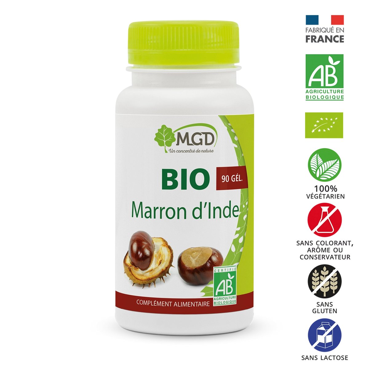 Marron d'inde BIO