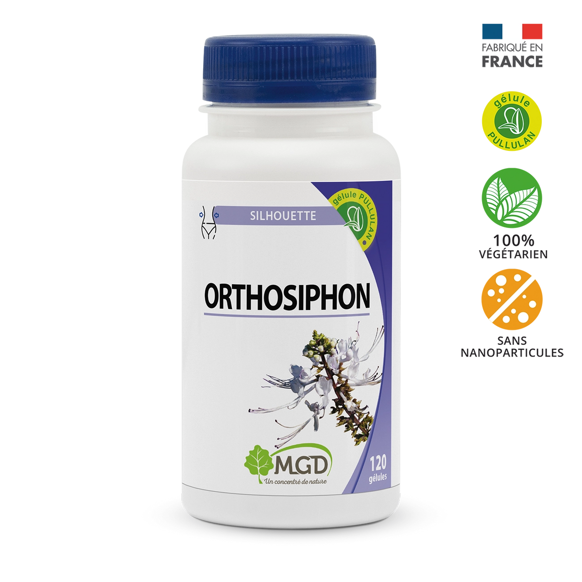 Orthosiphon