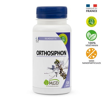 Orthosiphon