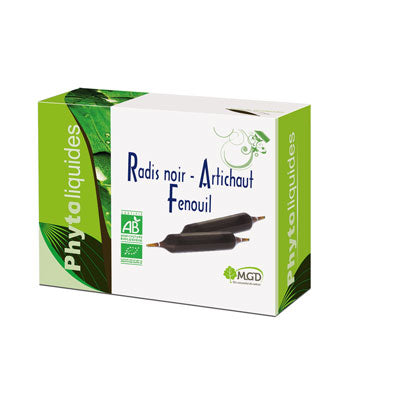 Radis noir Artichaut Fenouil BIO