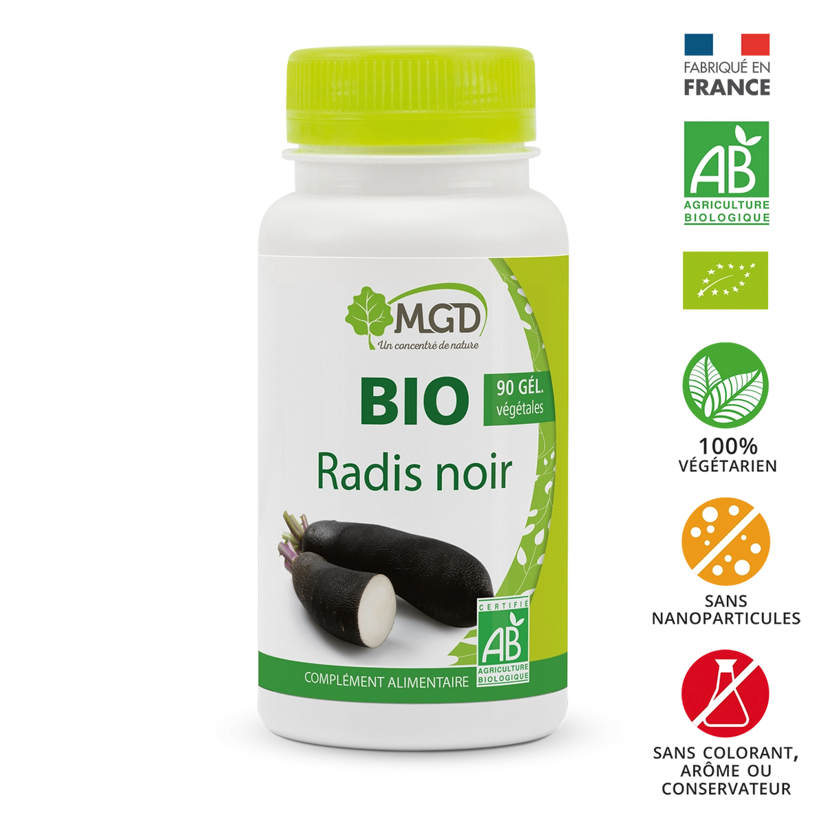 Radis noir BIO