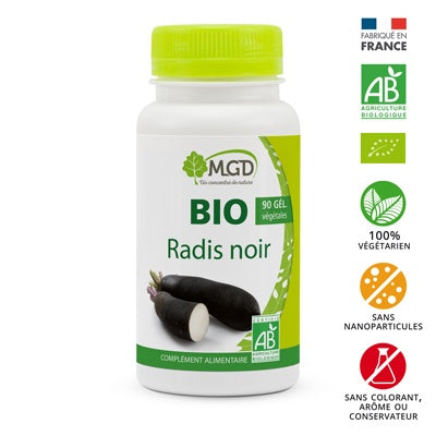 Radis noir BIO