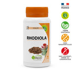 Rhodiola