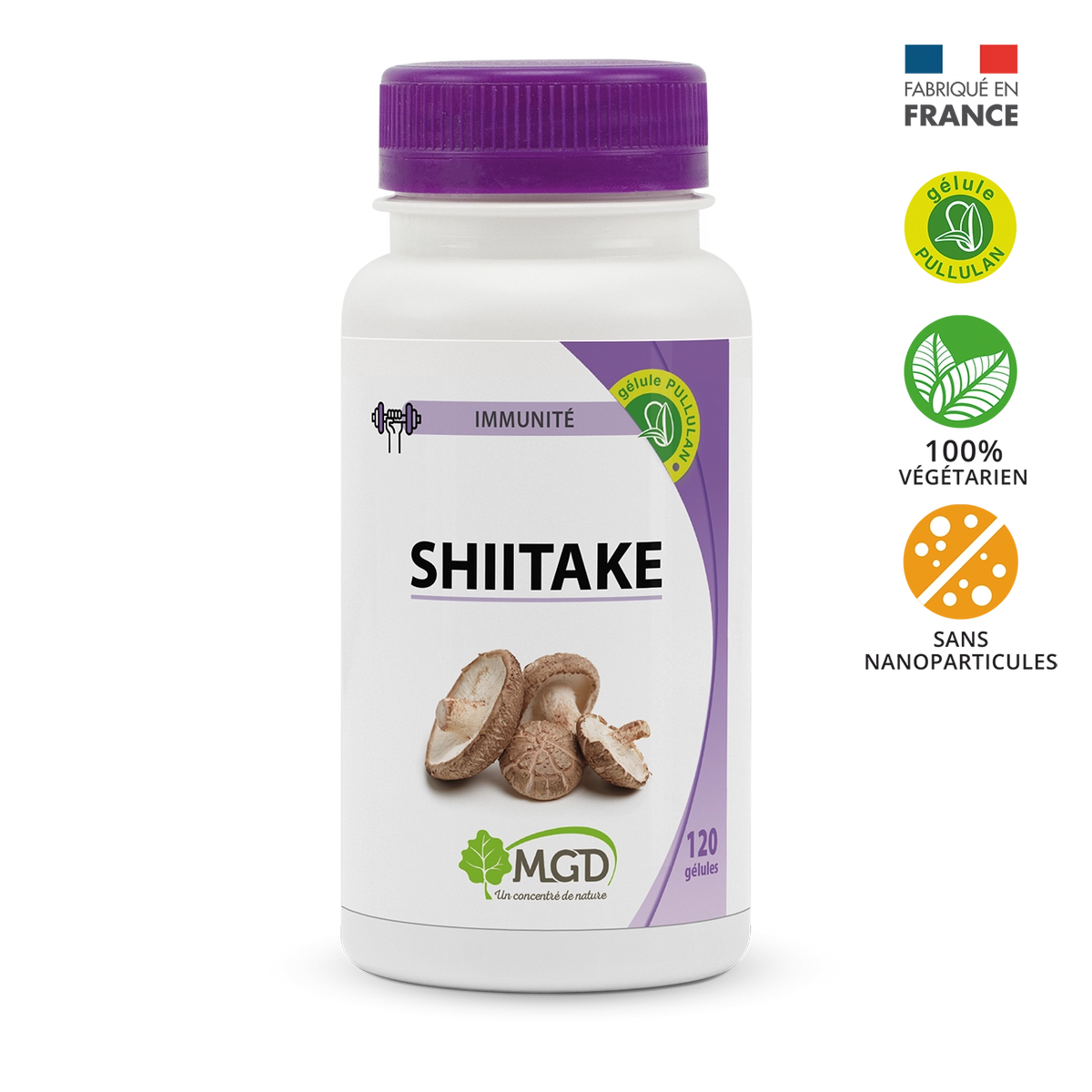 Shiitake