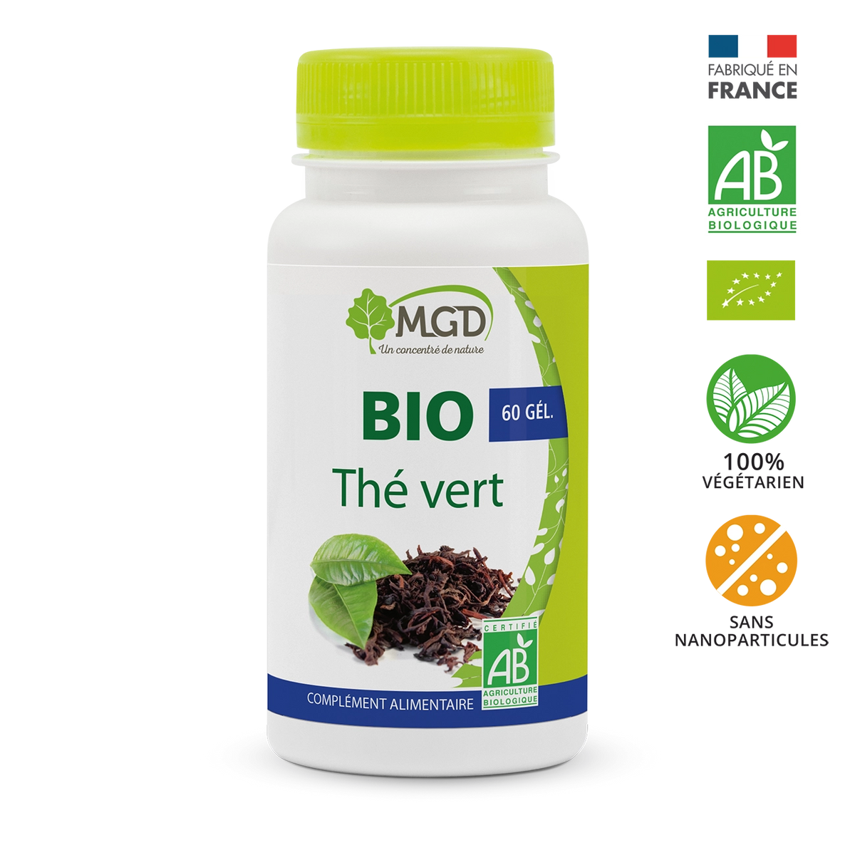 Thé vert BIO