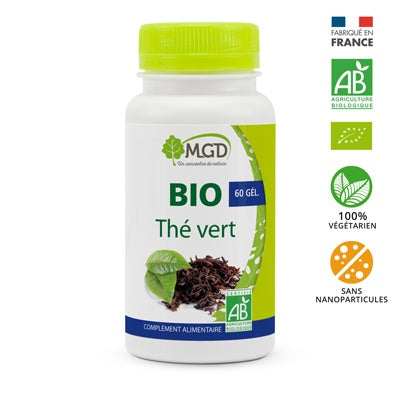 Thé vert BIO